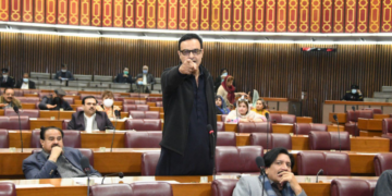 PTI MNA was pressed to explain why he disparaged his own party