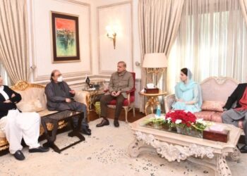Shehbaz invites Zardari and Bilawal to his Lahore home to discuss political situation