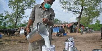 Karachi: Spike in milk prices by Rs20 took cost of one litre milk at Rs200
