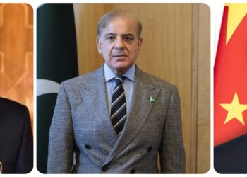 Prez Alvi, PM Sharif expresses grief over death of former Chinese Prez Zemin (Picture Courtesy: Google)