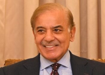 PM Sharif chairs meeting on implementation of farmer package, solarization of agriculture tubes (Image Courtesy: Facebook)