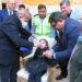 PM Sharif inaugurates national anti-polio campaign 2023 (Image Courtesy: Facebook)