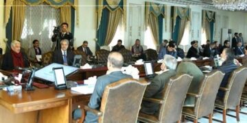 PM Sharif chairs federal Cabinet meeting; discusses plans to avoid power breakdown in future (Image Courtesy: Facebook)