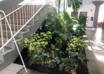 St Kitts and Nevis: PM Terrance Drew shares glimpses of beautification drive at govt HQ