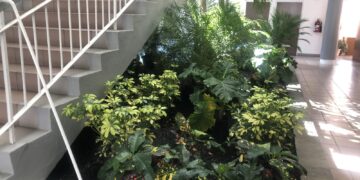 St Kitts and Nevis: PM Terrance Drew shares glimpses of beautification drive at govt HQ