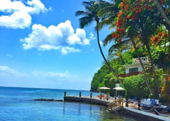 CEO Mc Claude Emmanuel plans to meet requirement of HNWIs for Saint Lucia CIP