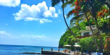 CEO Mc Claude Emmanuel plans to meet requirement of HNWIs for Saint Lucia CIP