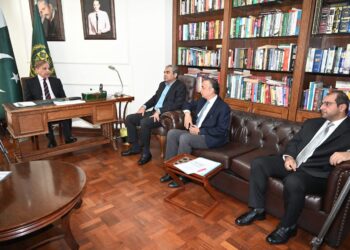 PM Sharif approves decision to provide free flour to low-income families under Ramadan package (Image Courtesy; Facebook)