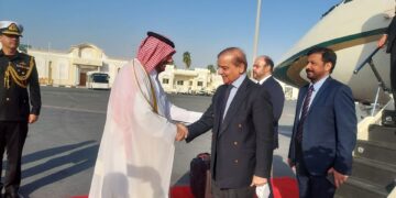 PM Sharif meets Emir of Qatar Al Thani; discusses major ongoing issues (Image Courtesy: Facebook)