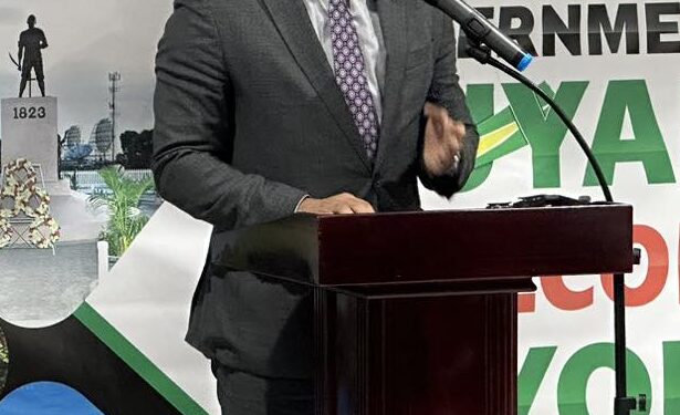 Dy PM Ernest Hilaire set to debate Estimates of Revenue and Expenditure in Parliament