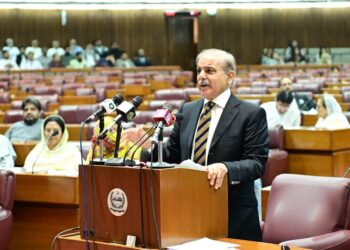 PM Sharif thanks National Assembly after receiving vote of confidence (Image Courtesy: Facebook)