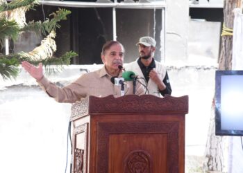 PM Sharif expresses sorrow over destruction caused by violent mob on May 9 protests (Image Courtesy: Facebook)