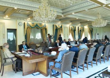 PM Sharif held high-level meeting on budget proposals regarding PSDP (Image Courtesy: Facebook)