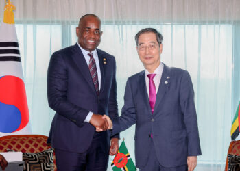 Dominica PM Roosevelt Skerrit meets South Korea PM Han Duck Soo in Trinidad 