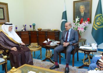 PM Sharif meets Saudi Ambassador Nawaf, thanked for support from their leadership (Image Courtesy: Facebook)