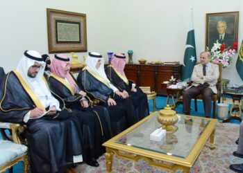 PM Sharif welcomes Saudi Arabia delegation, asks to take advantage of investment in Pakistan (Image Courtesy: Facebook)