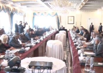 'Climate change is national security issues for Pakistan', says PM Kakar (image courtesy: Twitter/PMO Pakistan)