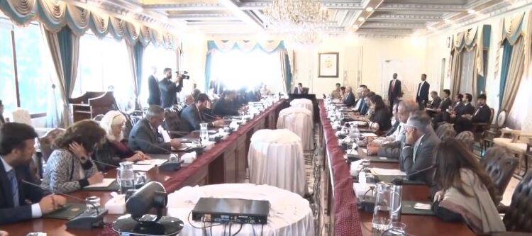 'Climate change is national security issues for Pakistan', says PM Kakar (image courtesy: Twitter/PMO Pakistan)