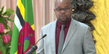 Dominica to create world's first marine protected area for sperm whales (Image Courtesy: Facebook/GIS Dominica)