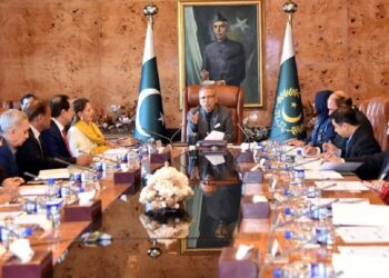 Prez Arif Alvi holds follow-up meeting on mental health issues in Pakistan (Image Courtesy: Twitter/@PresidentofPakistan)