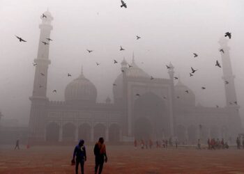 Smog covers areas with more trees and green spaces in Lahore