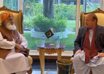 JUI-F chief meets Nawaz Sharif, pledges to move ahead together in Feb 8 polls (Image Courtesy: Google)