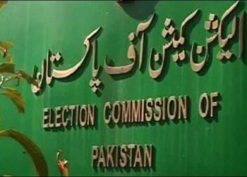 IPP accuses ECP, CEC for being 'biased' towards just one party (Image Courtesy: Facebook)